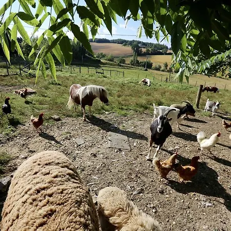 La Ferme Couderc Ferienhaus Castelnaud-de-Gratecambe